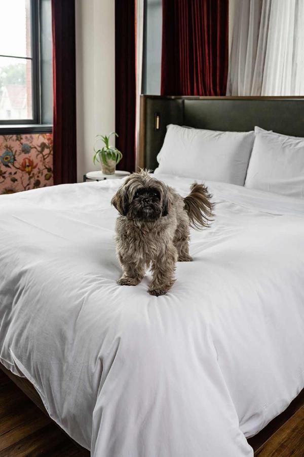 The Broadview Hotel Toronto Exterior photo